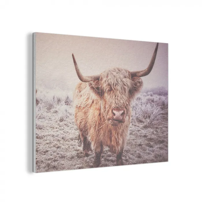 Schotse hooglanders - Licht - Lucht - Natuur PET vilt klein -3d