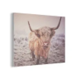 Schotse hooglanders - Licht - Lucht - Natuur PET vilt klein -3d