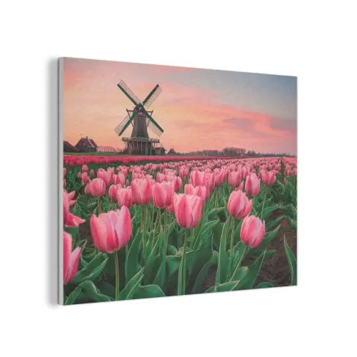 Tulpen - Molen - Nederland PET vilt klein -3d