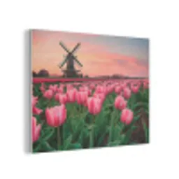 Tulpen - Molen - Nederland PET vilt klein -3d
