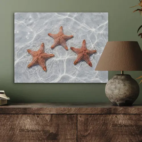 Zeesterren - Water - Helder PET vilt klein -sfeer2
