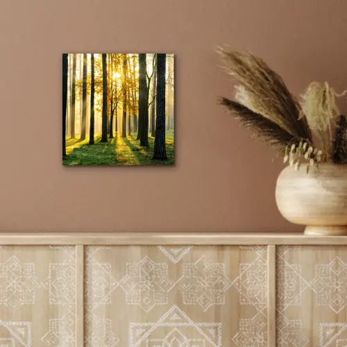 Bos - Zon - Bomen - Gras - Landschap - Natuur aluminium wit klein -sfeer4