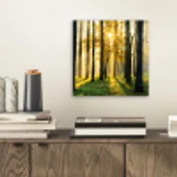 Bos - Zon - Bomen - Gras - Landschap  - Natuur aluminium wit klein -sfeer1