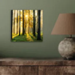 Bos - Zon - Bomen - Gras - Landschap  - Natuur aluminium wit klein -sfeer2