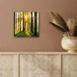 Bos - Zon - Bomen - Gras - Landschap  - Natuur aluminium wit klein -sfeer4