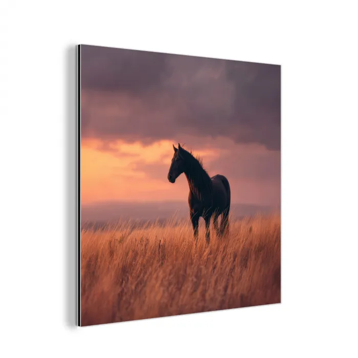 Paard - Wolken - Open veld aluminium wit klein -3d