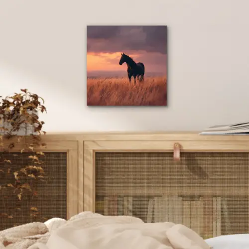 Paard - Wolken - Open veld aluminium wit klein -sfeer3