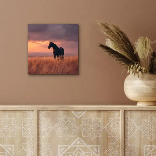 Paard - Wolken - Open veld aluminium wit klein -sfeer4