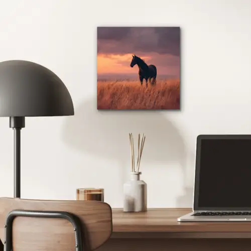 Paard - Wolken - Open veld aluminium wit klein -sfeer5