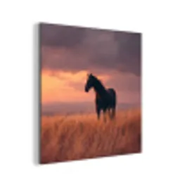 Paard - Wolken - Open veld aluminium wit klein -3d