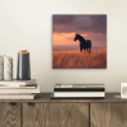 Paard - Wolken - Open veld aluminium wit klein -sfeer1