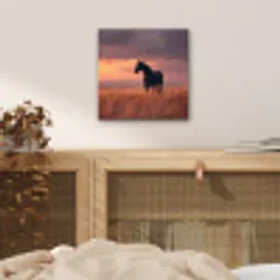 Paard - Wolken - Open veld aluminium wit klein -sfeer3
