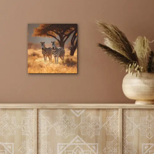Zebra's - Savannelandschap - Gras aluminium wit klein -sfeer4