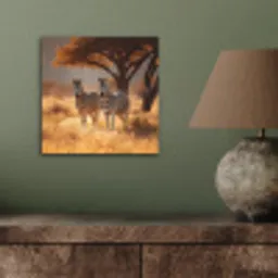 Zebra's - Savannelandschap - Gras aluminium wit klein -sfeer2