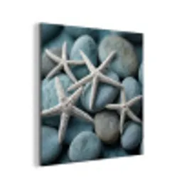 Zeesterren - Stenen - Wit aluminium wit klein -3d