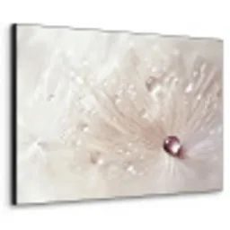 Bloem - Abstract - Wit - Water - Natuur Textielframe zwart klein -3d