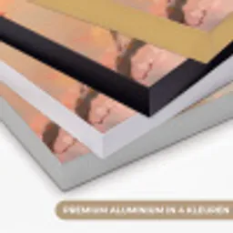 Roodborstjes - Sierlijk - Bloesemtak Textielframe zwart klein -USP_kleurenNL