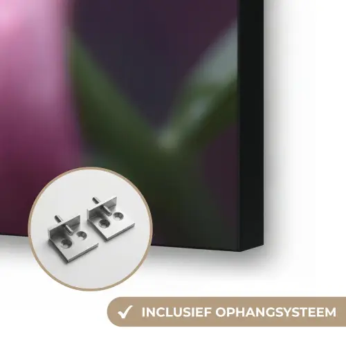 Roze - lelie - Dauwdruppels Textielframe zwart klein -USP_ophangsysteemNL