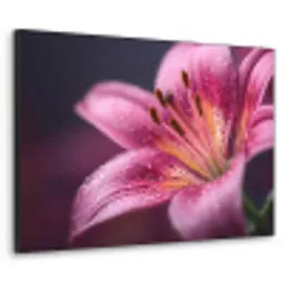 Roze - lelie - Dauwdruppels Textielframe - compleet frame klein -3d