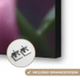 Roze - lelie - Dauwdruppels Textielframe zwart klein -USP_ophangsysteemNL