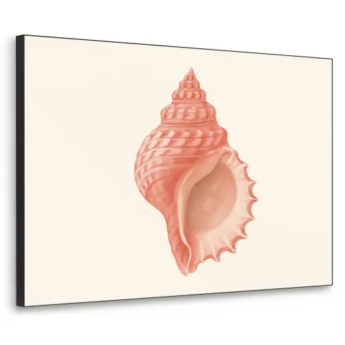 Schelp - Roze - Structuur Textielframe - compleet frame klein -3d