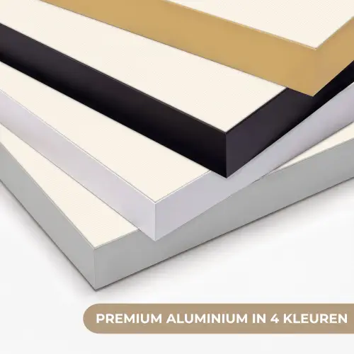Schelp - Roze - Structuur Textielframe zwart klein -USP_kleurenNL