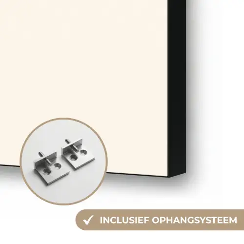 Schelp - Roze - Structuur Textielframe zwart klein -USP_ophangsysteemNL