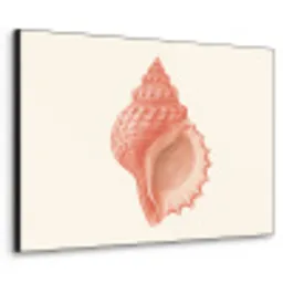 Schelp - Roze - Structuur Textielframe - compleet frame klein -3d
