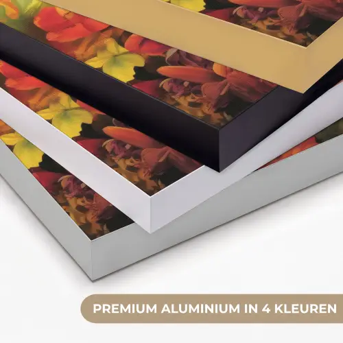 Vrouw - Bloemen - Papegaai - Schilderachtig Textielframe zwart klein -USP_kleurenNL