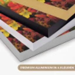 Vrouw - Bloemen - Papegaai - Schilderachtig Textielframe zwart klein -USP_kleurenNL