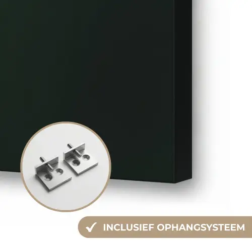 Vrouw - Drankenfruit - Rozen Textielframe zwart klein -USP_ophangsysteemNL