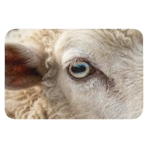 Schaap - Oog - Wit Badmat klein -3d