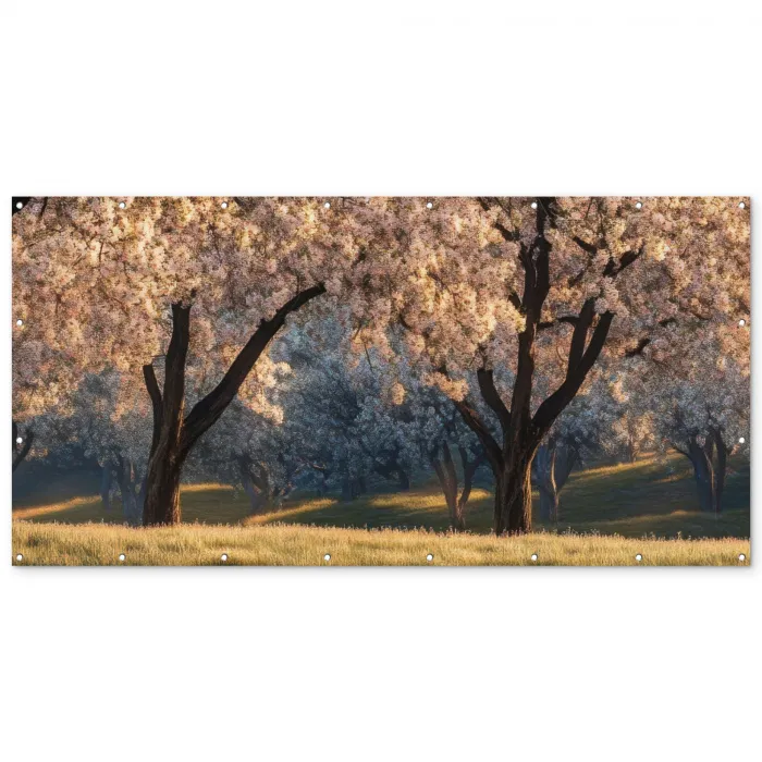 Bomen - Bloesem - Lente Balkonbeschermer Duitsland klein -zz_3d
