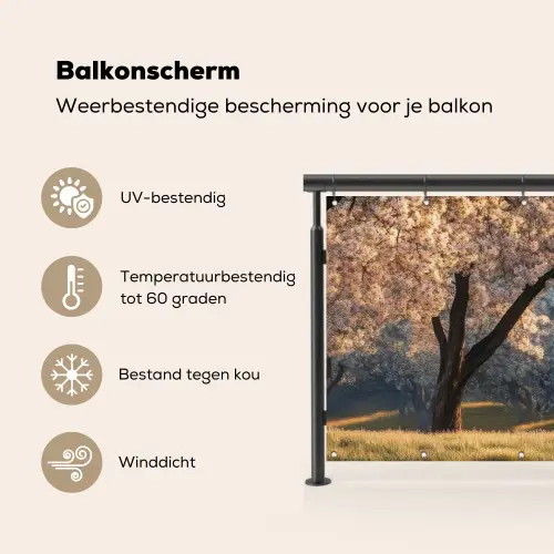 Bomen - Bloesem - Lente Balkonbeschermer Duitsland klein -specs_NL