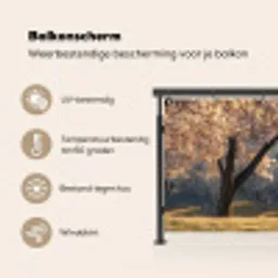 Bomen - Bloesem - Lente Balkonbeschermer Duitsland klein -specs_NL