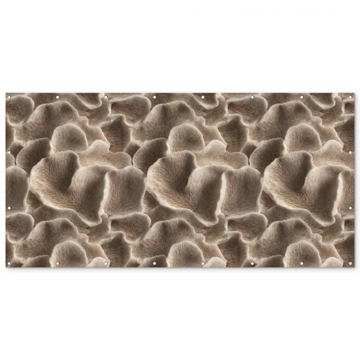 Waaiervorm - Beige - Vezel textuur Balkonbeschermer Duitsland klein 596 -zz_3d