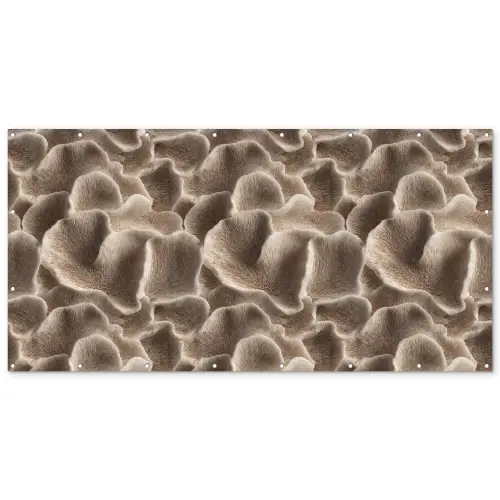 Waaiervorm - Beige - Vezel textuur Balkonbeschermer Duitsland klein 596 -zz_3d