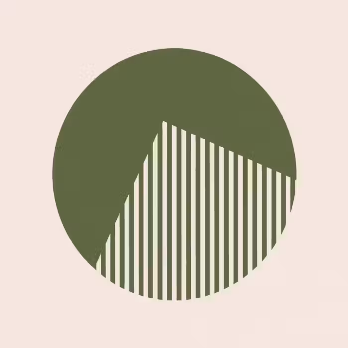 Behang - Cirkel - Strepen - Geometrisch - Abstract - Groen