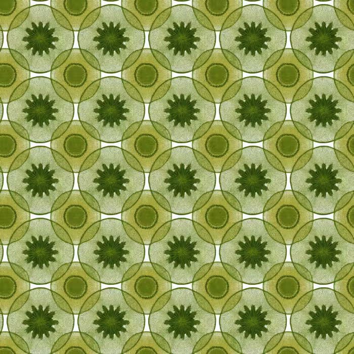 Behang - Cirkels - Patroon - Groen