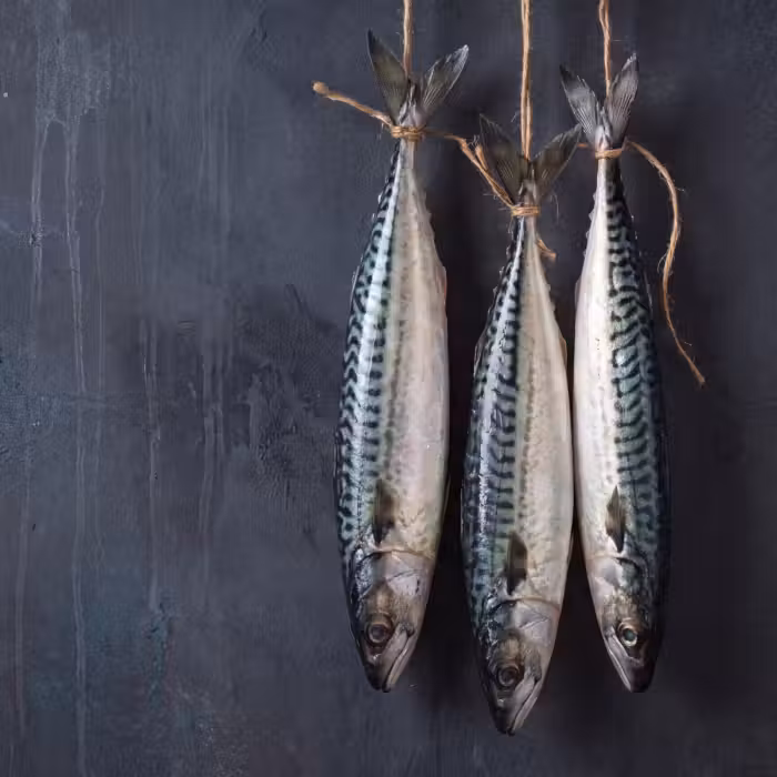 Behang - Drie vissen - Touw
