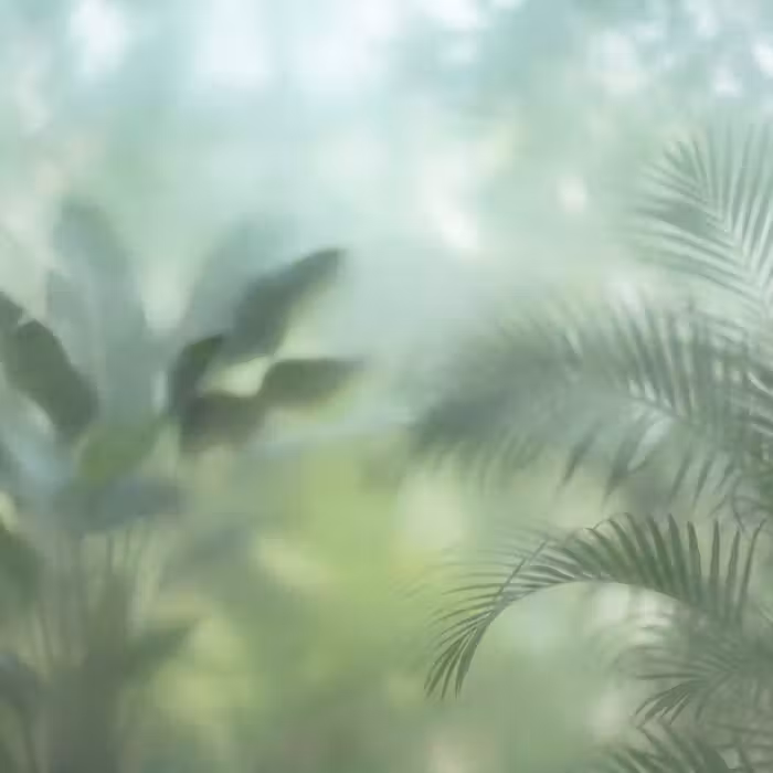 Behang - Natuur - Vervaagd - Groen - Abstract - Modern