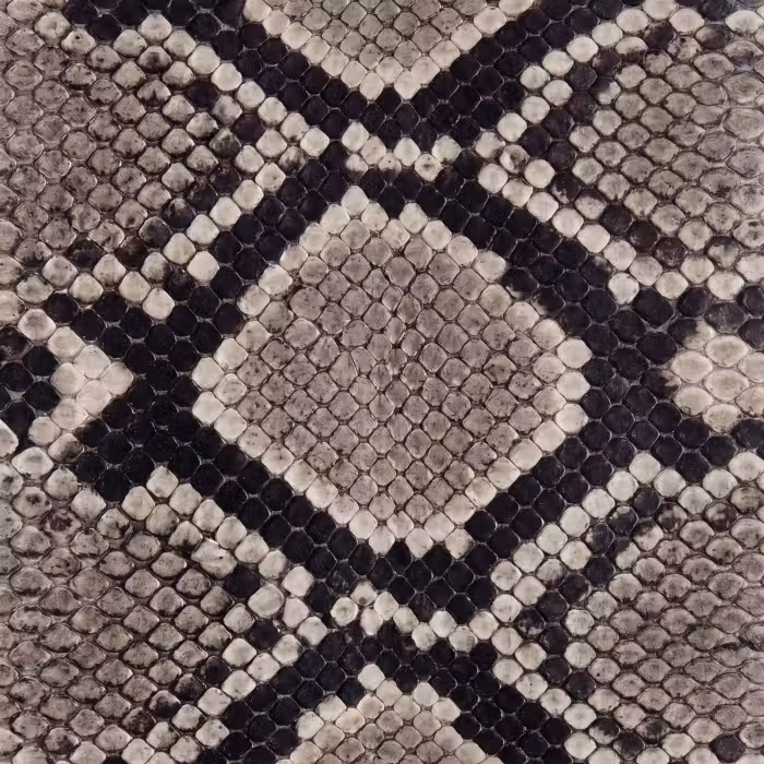 Behang - Slangenleer - Patroon - Beige