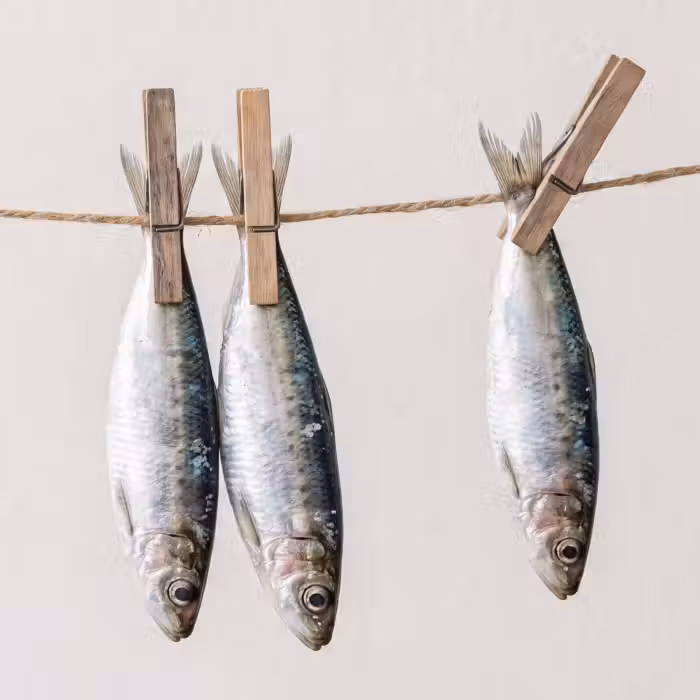 Behang - Vis - Hangend - Eten