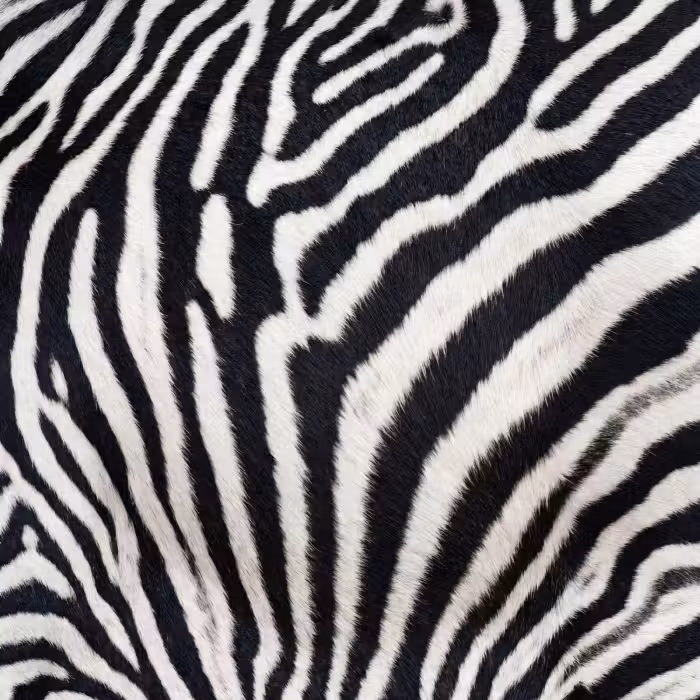 Behang - Zebra - Vacht - Klassiek - Zwart - Wit