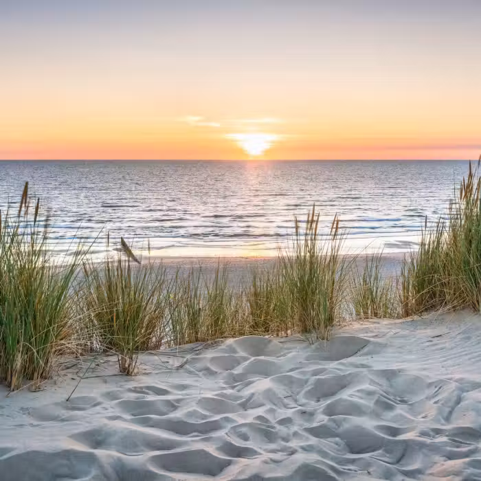 Behang - Zon - Natuur - Strand