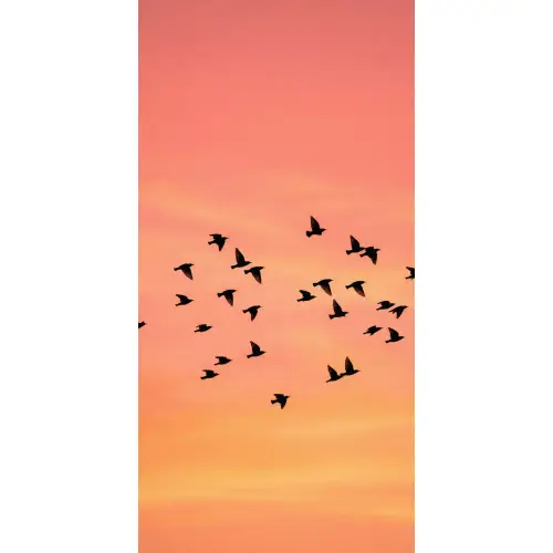 Zwerm - Vogels - Oranje Behang Vlies klein -3d_website