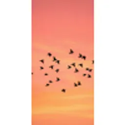 Zwerm - Vogels - Oranje Behang Vlies klein -3d_website