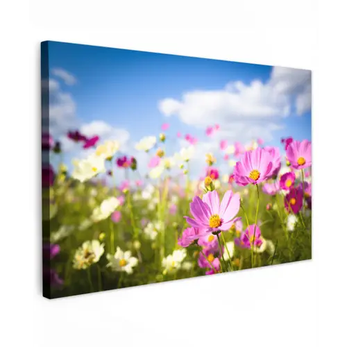 Bloemen - Wei - Paars - Gras - Wit - Wolken - Blauw Tuinposter op houten frame 2 cm dik klein -3d