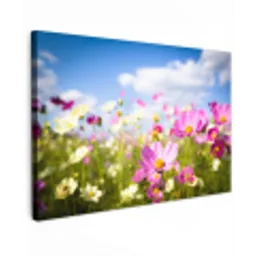 Bloemen - Wei - Paars - Gras - Wit - Wolken - Blauw Tuinposter op houten frame 2 cm dik klein -3d