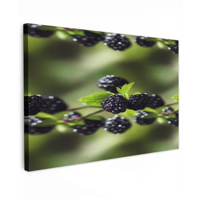 Bramen - Bladeren - Tros Tuinposter op houten frame 2 cm dik klein 845 -3d